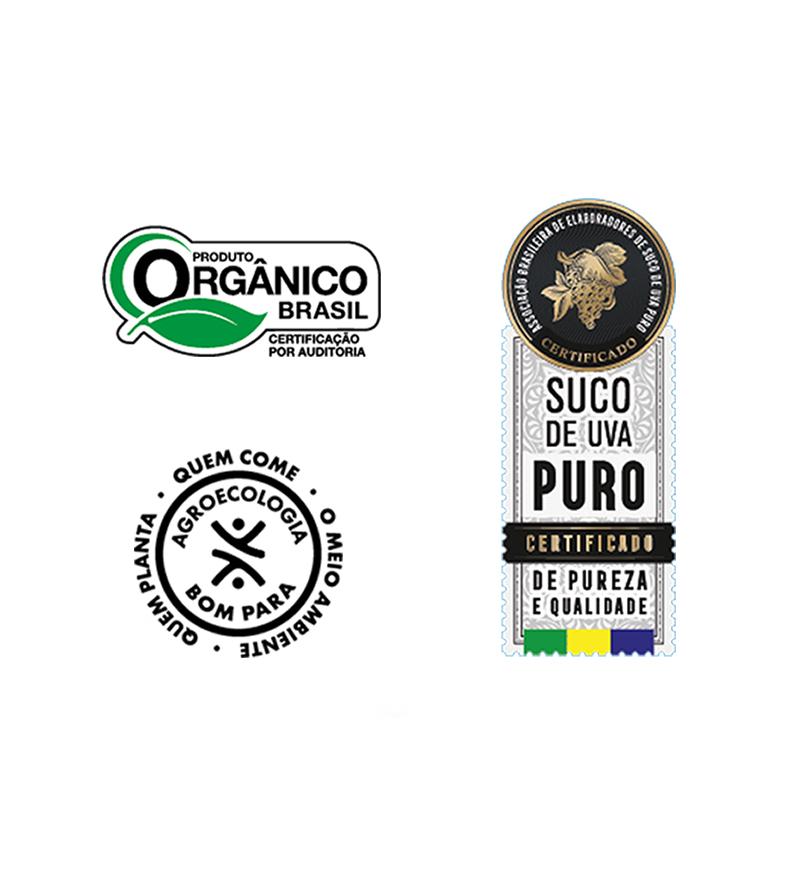 Suco de Uva Integral Orgânico 300ml - Imagem 2