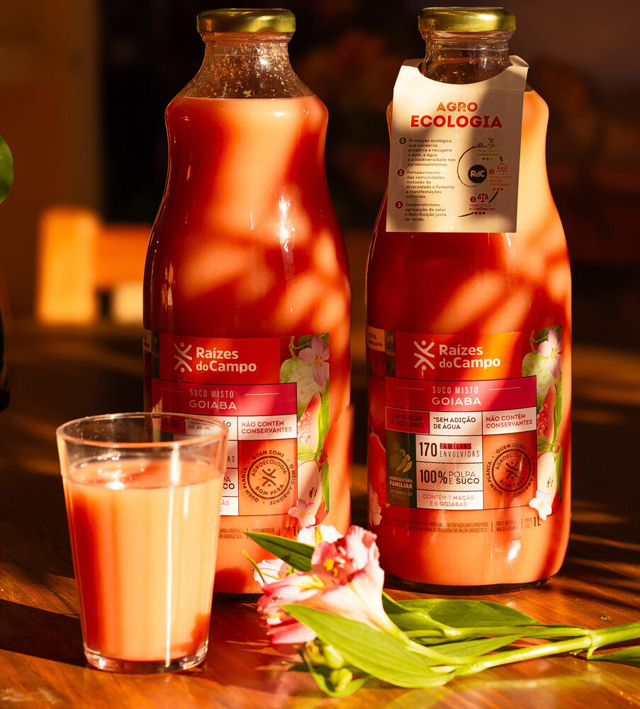 Suco de Goiaba e Maçã Integral 1 Litro - Imagem 3