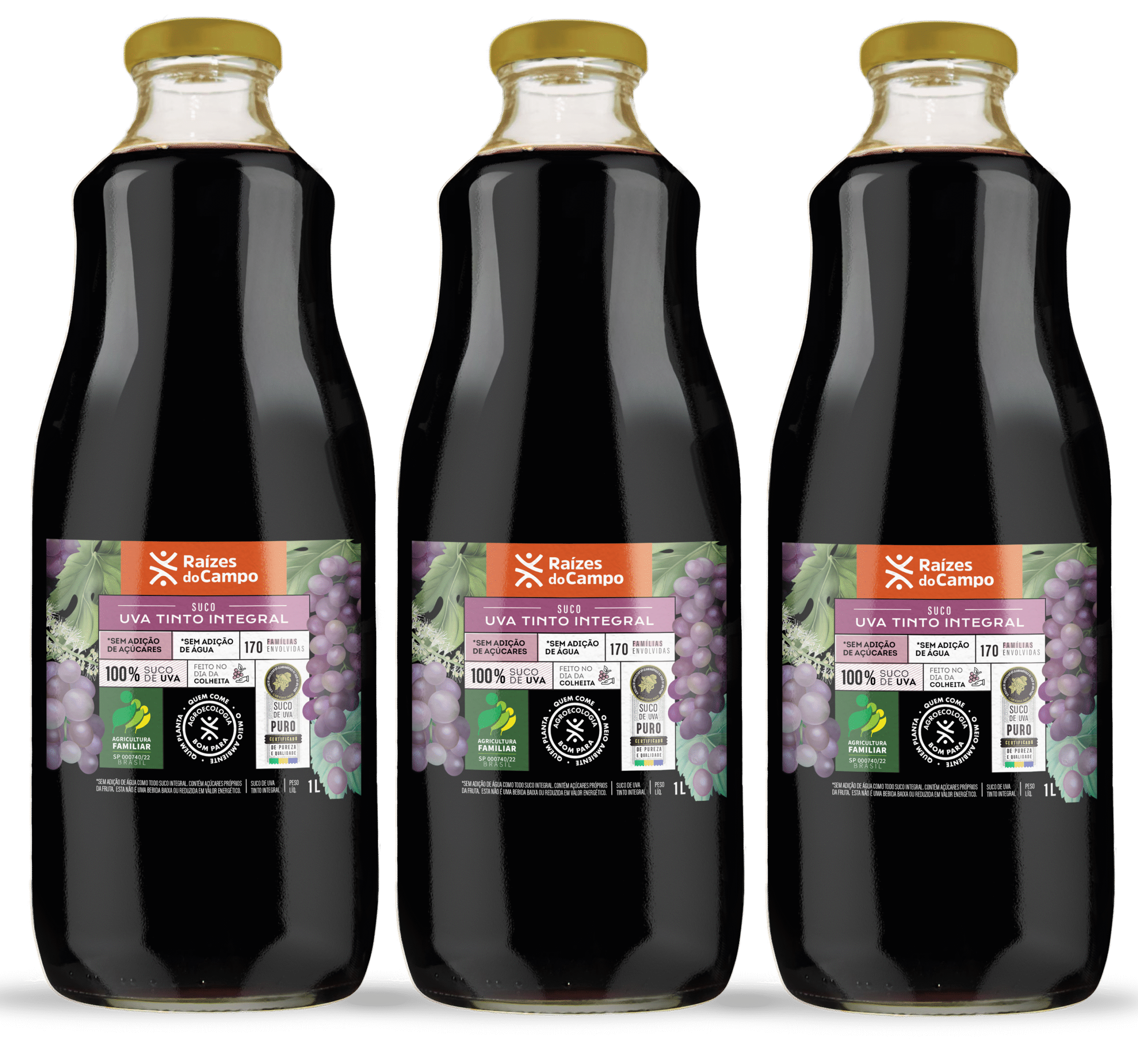 Kit 3 Unidades de Suco de Uva Integral 1 Litro