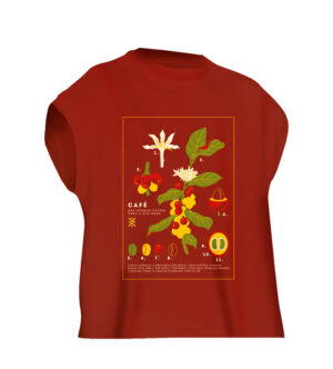 Camiseta Oversized Café