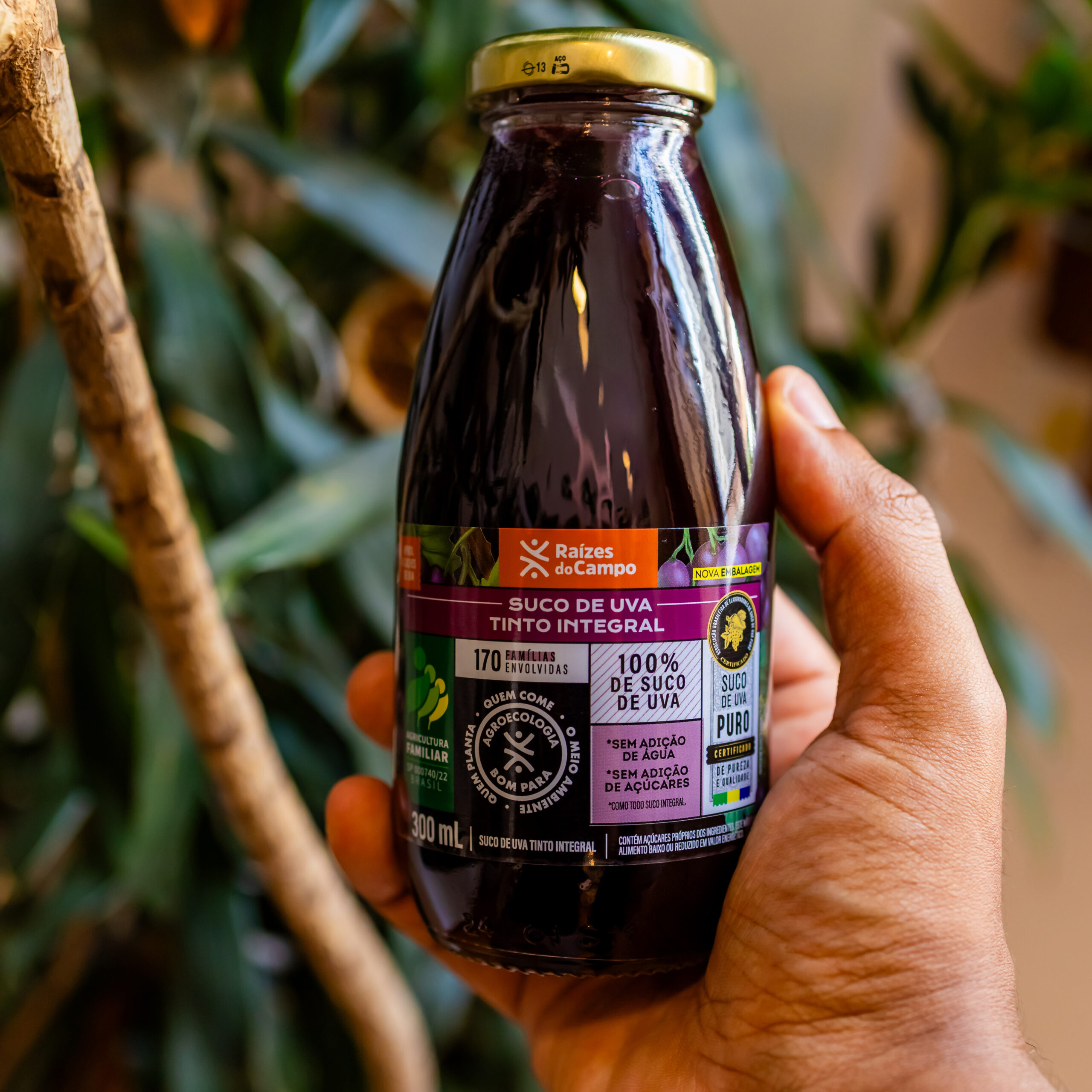 Suco de Uva Integral 300 ml (pack com 12) - Imagem 2