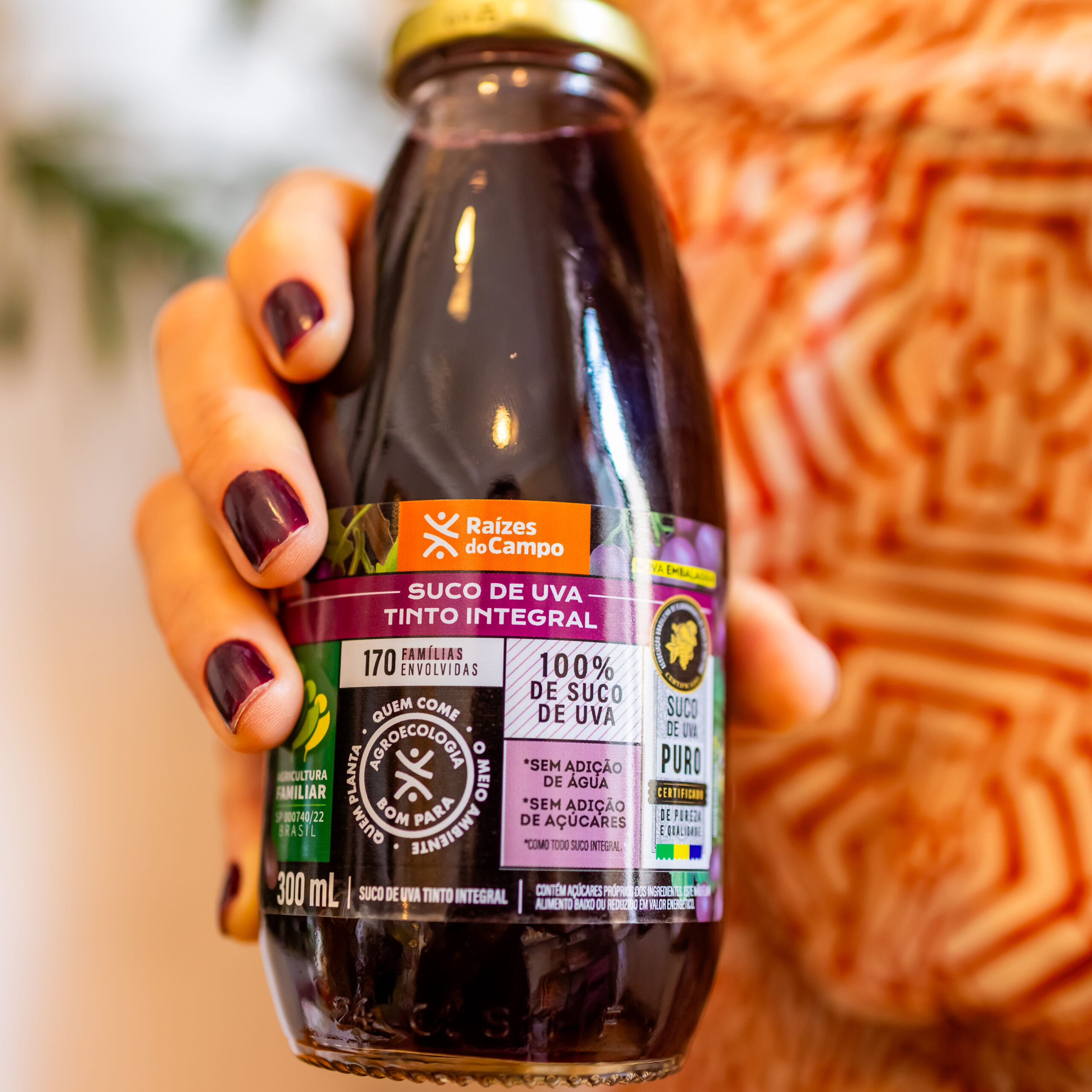 Suco de Uva Integral 300 ml (pack com 12) - Imagem 3