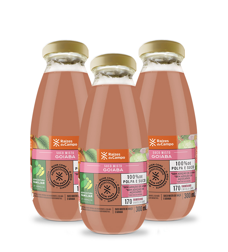 Suco de Goiaba e Maçã Integral 300ml (pack com 3)