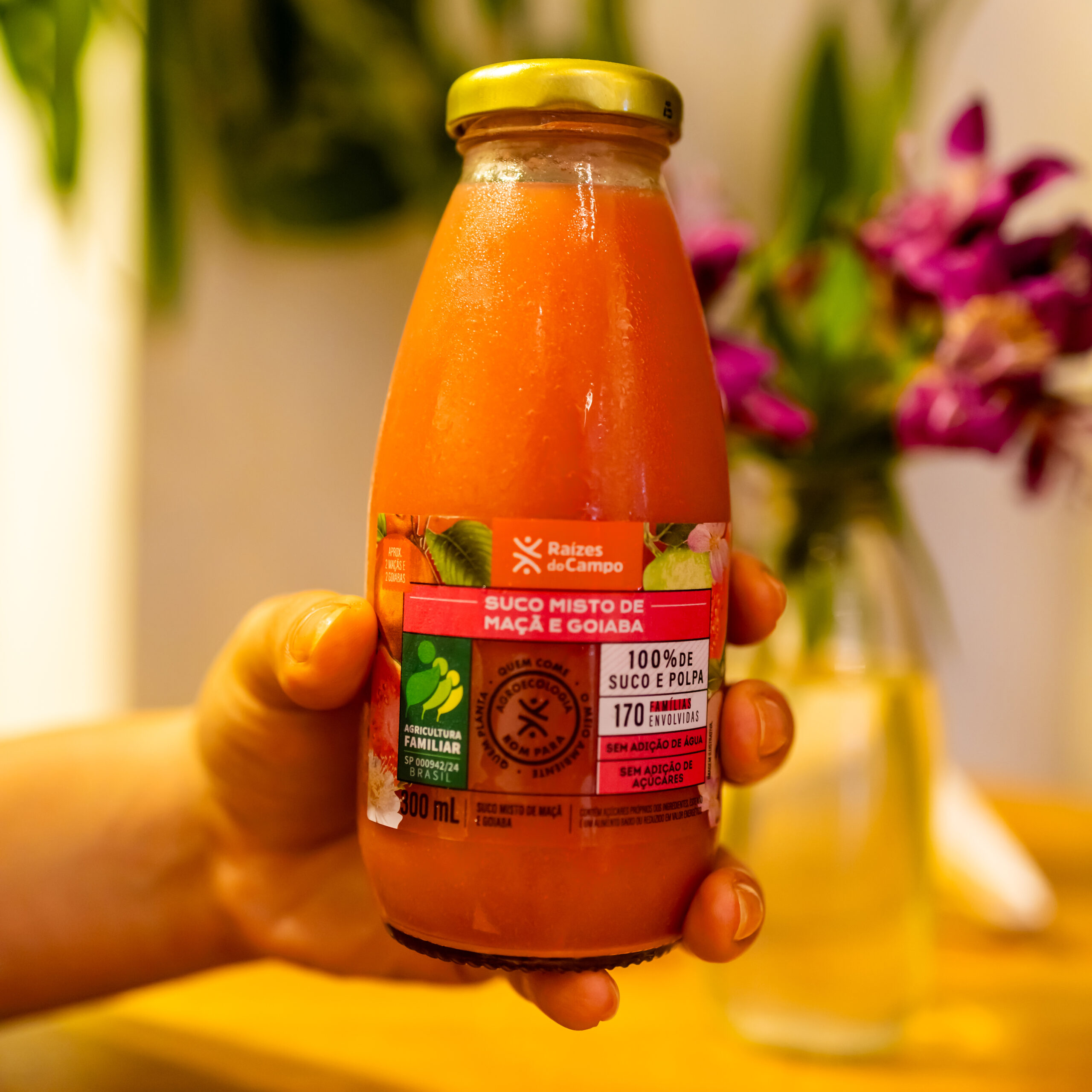 Suco de Goiaba e Maçã Integral 300ml - Imagem 4