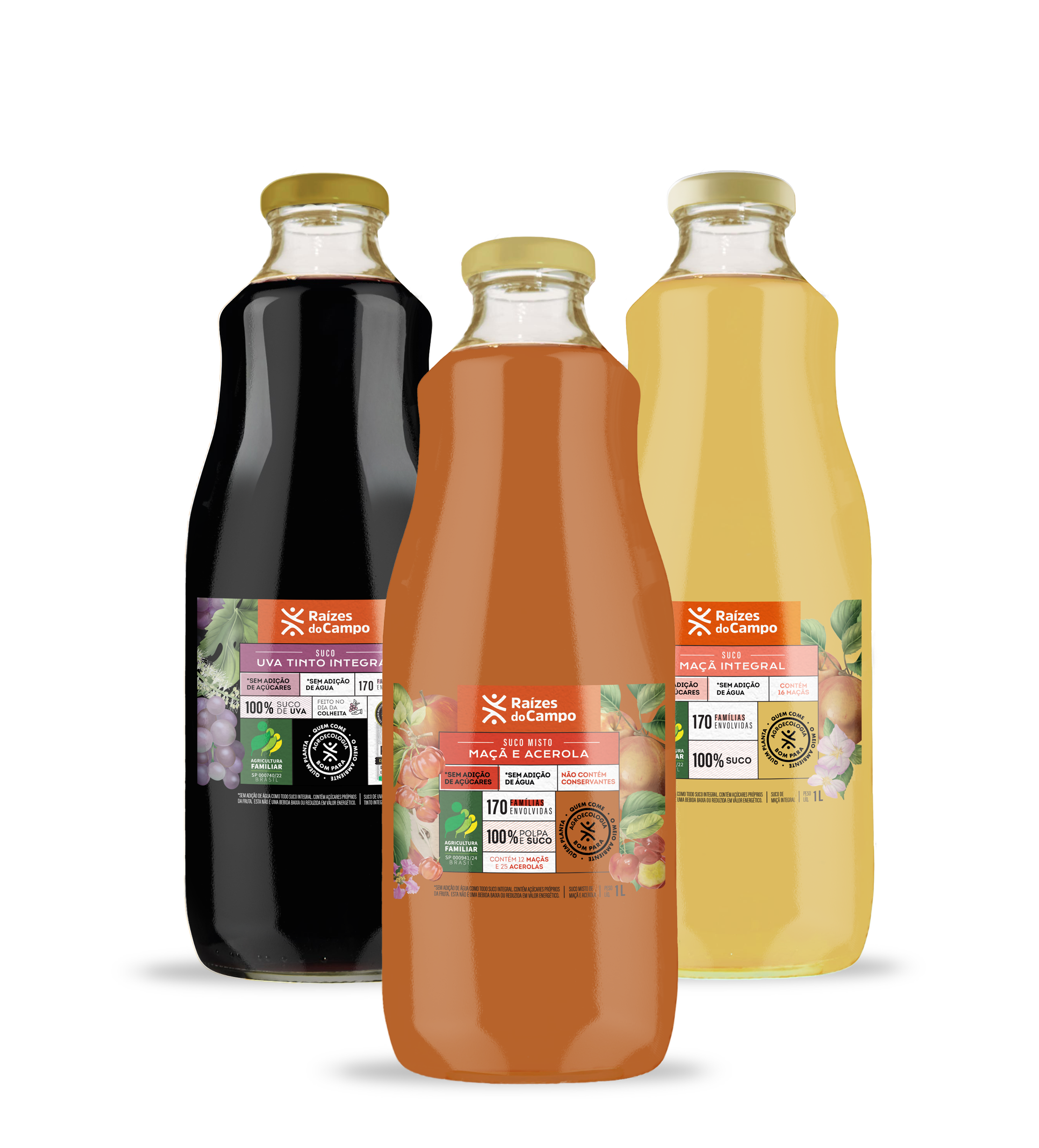Suco Integral 1 Litro (Pack com 3 sabores variados - Uva, Maçã e Acerola)