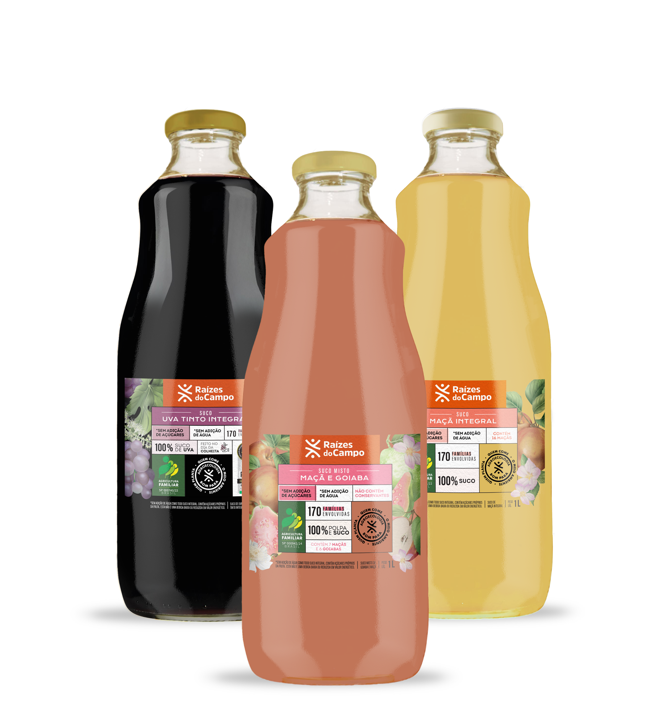 Suco Integral 1 Litro (Pack com 3 sabores variados - Uva, Maçã e Goiaba)