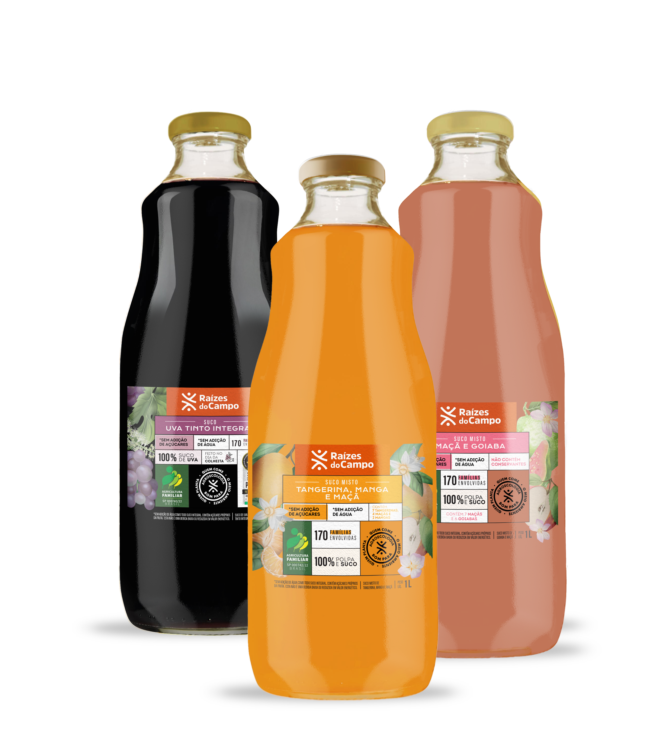 Suco Integral 1 Litro (Pack com 3 sabores variados - Uva, Goiaba e Misto)
