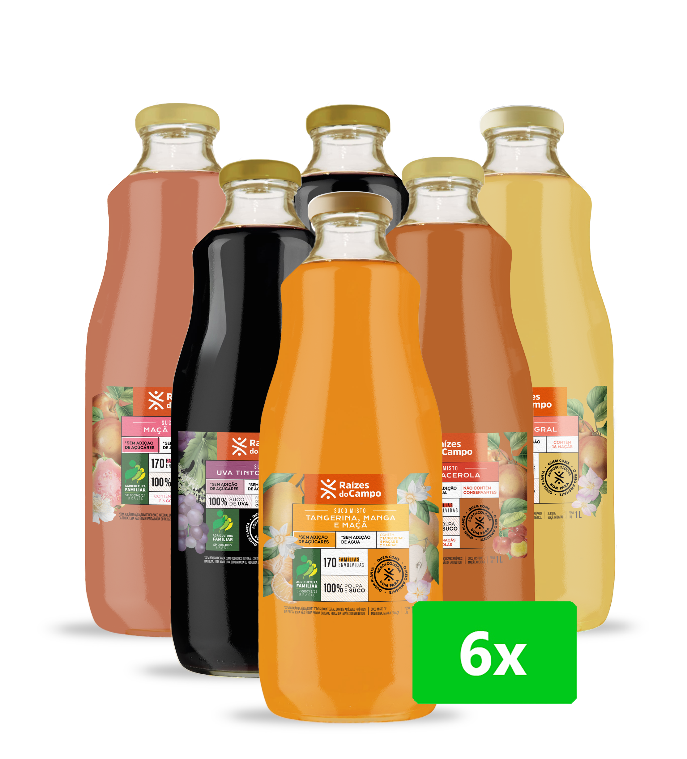 Suco Integral 1 Litro (Pack com 6 sabores variados)